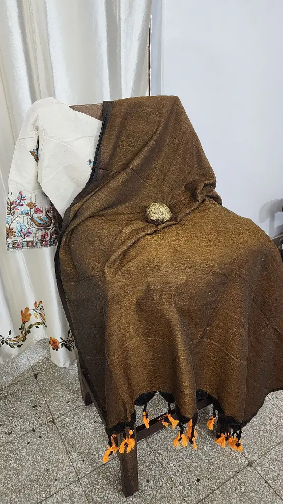brown with blouse.webp